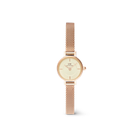 Armbanduhr Daniel Wellington Dame PETITE MINI in Stahl DW00100741 - DW00100741